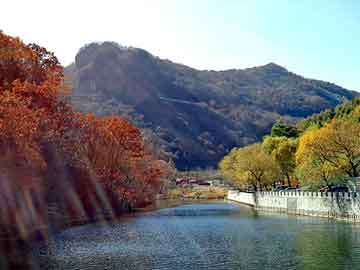 管家婆黑白马报图库，广灵seo排名